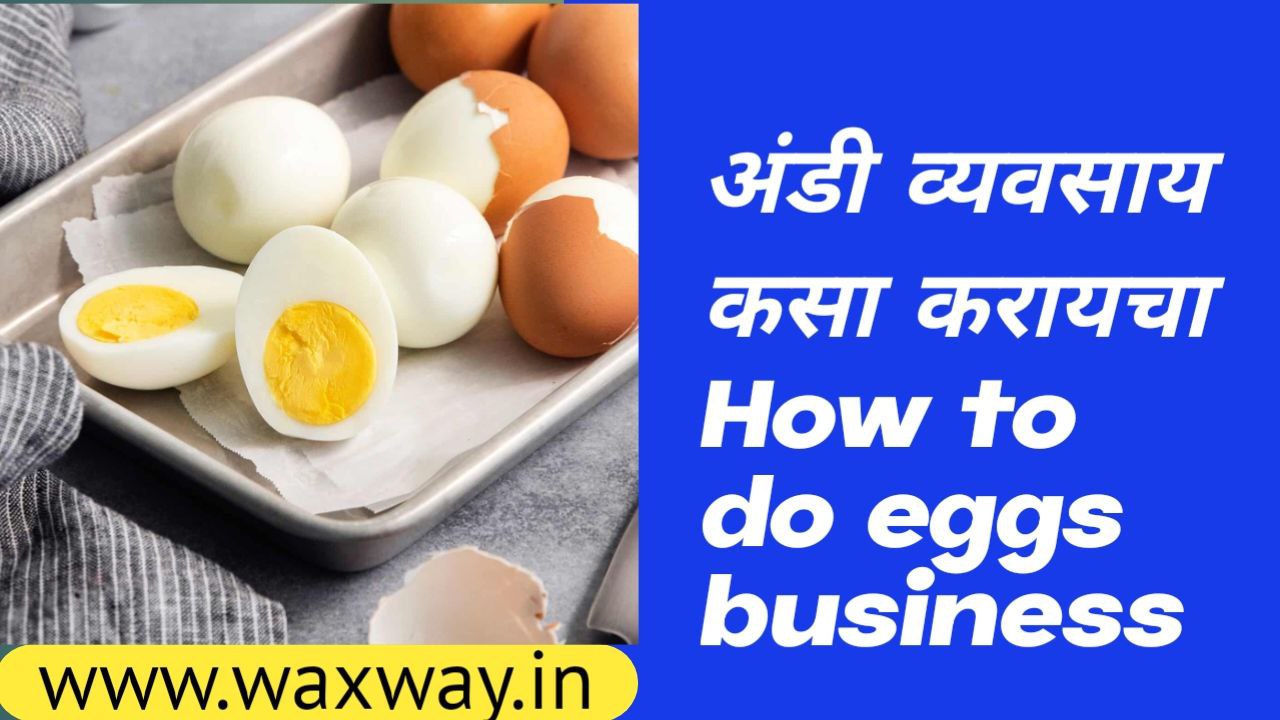 How to do eggs business