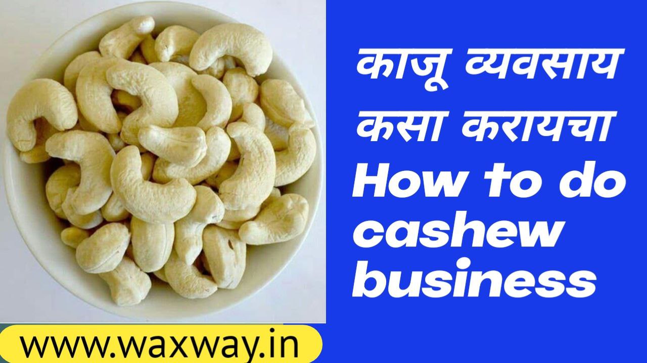 How to do cashew business