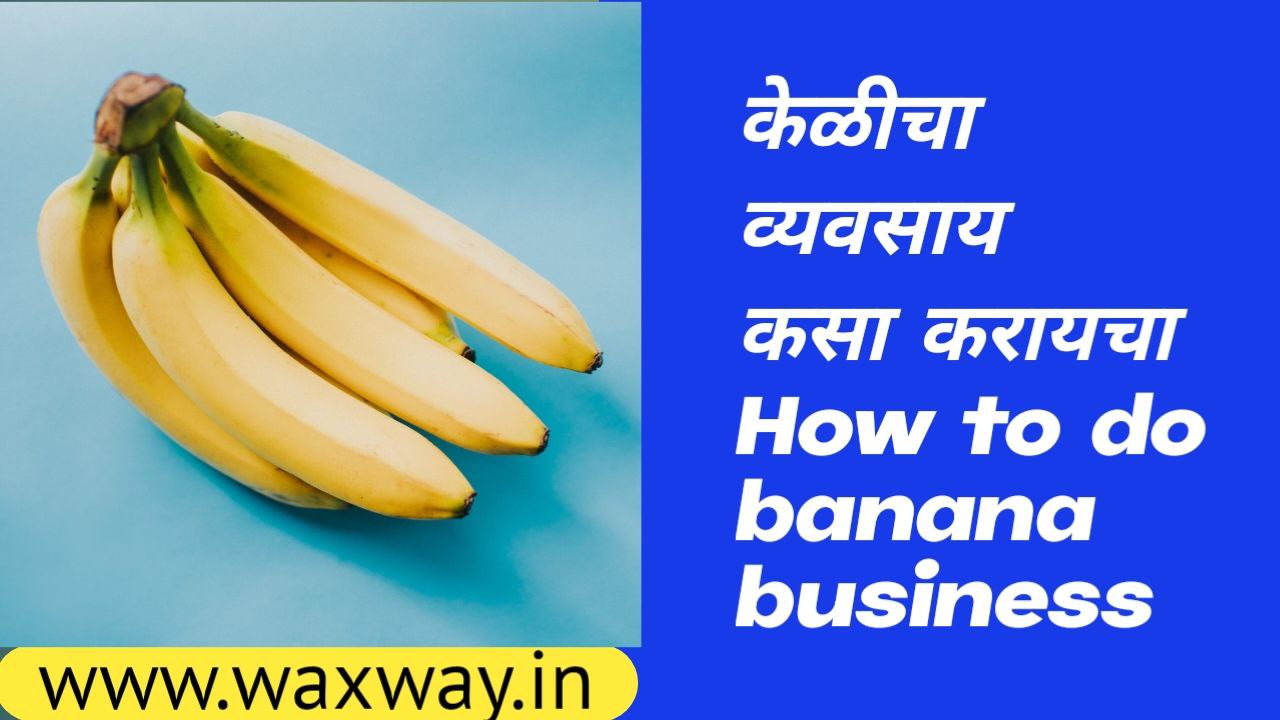 How to do banana business